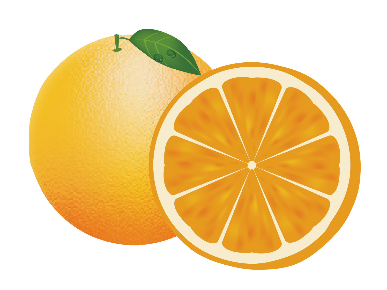 Апельсин на белом фоне для детей