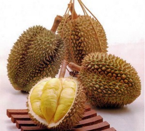durian7[1]